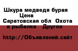 Шкура медведя бурая › Цена ­ 10 000 - Саратовская обл. Охота и рыбалка » Другое   